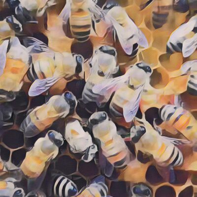 Rapporto ISMEA sul settore apistico nazionale: Cina primo produttore mondiale di miele