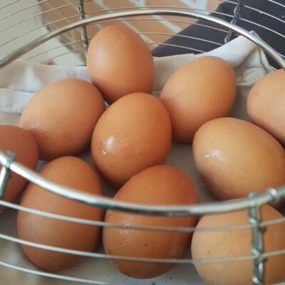 Sicurezza nella filiera delle uova: 32 mila le uova irregolari.
