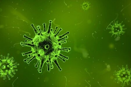 Coronavirus 2019-nCoV – Le raccomandazioni a tavola
