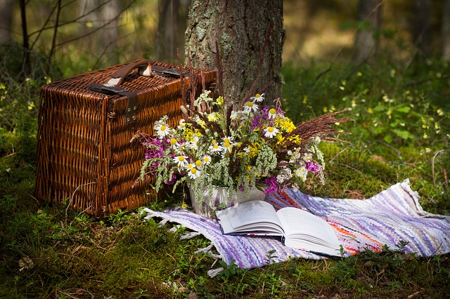 Cesto per pic-nic con prodotti alimentari e fiori sulla coperta di rosso.  Outdoor picnic estivo sull'erba Foto stock - Alamy