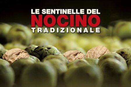 LE SENTINELLE DEL NOCINO TRADIZIONALE di Luca Bonacini, Stefano Lugli